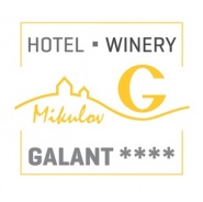 Hotel Galant